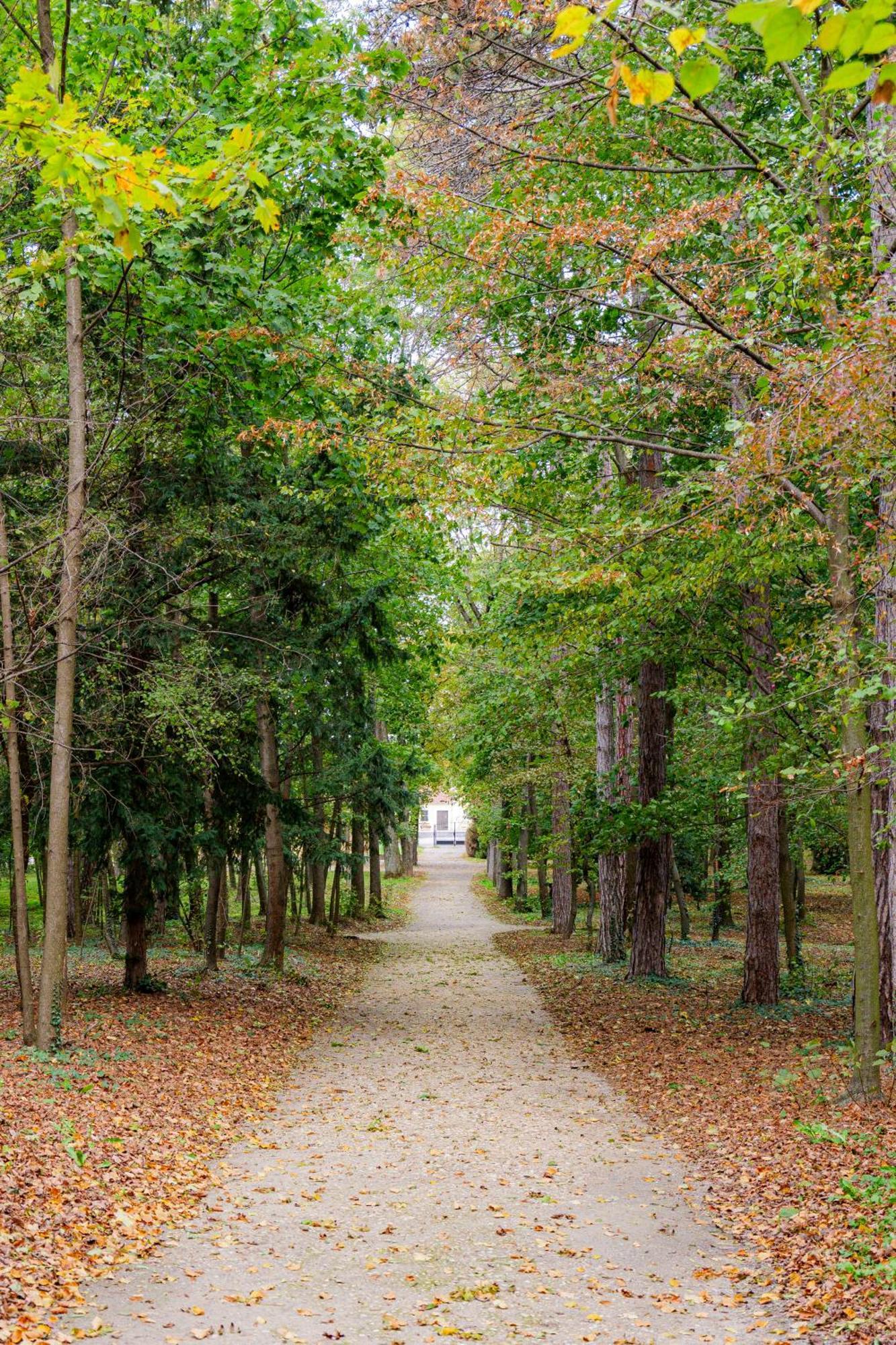 Villa Rose Close To Vienna & Airport Maria Ellend Luaran gambar