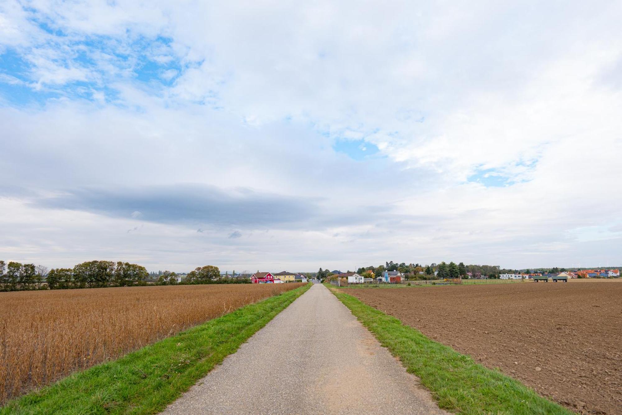 Villa Rose Close To Vienna & Airport Maria Ellend Luaran gambar
