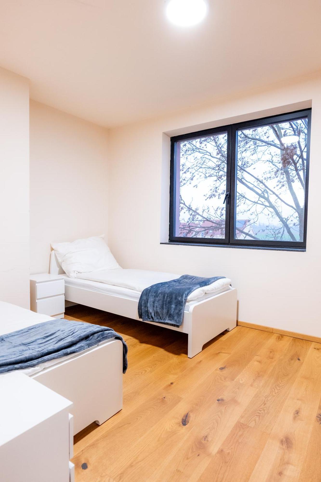 Villa Rose Close To Vienna & Airport Maria Ellend Luaran gambar